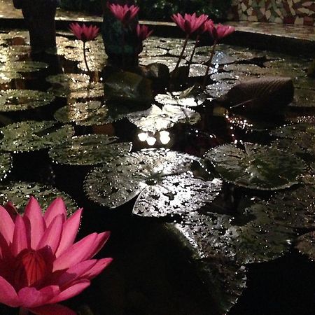 The Lotus Garden Bed & Breakfast Puerto Princesa ภายนอก รูปภาพ