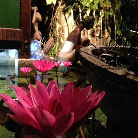 The Lotus Garden Bed & Breakfast Puerto Princesa ภายนอก รูปภาพ
