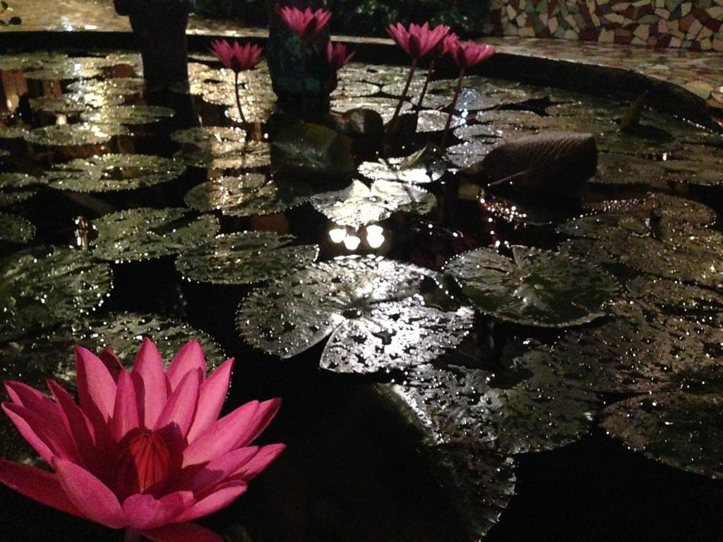 The Lotus Garden Bed & Breakfast Puerto Princesa ภายนอก รูปภาพ