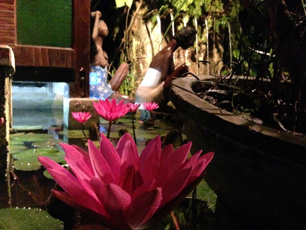 The Lotus Garden Bed & Breakfast Puerto Princesa ภายนอก รูปภาพ