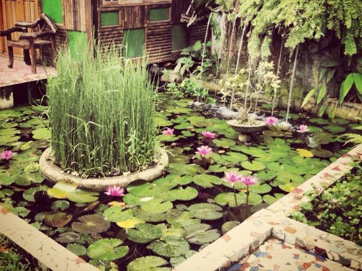The Lotus Garden Bed & Breakfast Puerto Princesa ภายนอก รูปภาพ